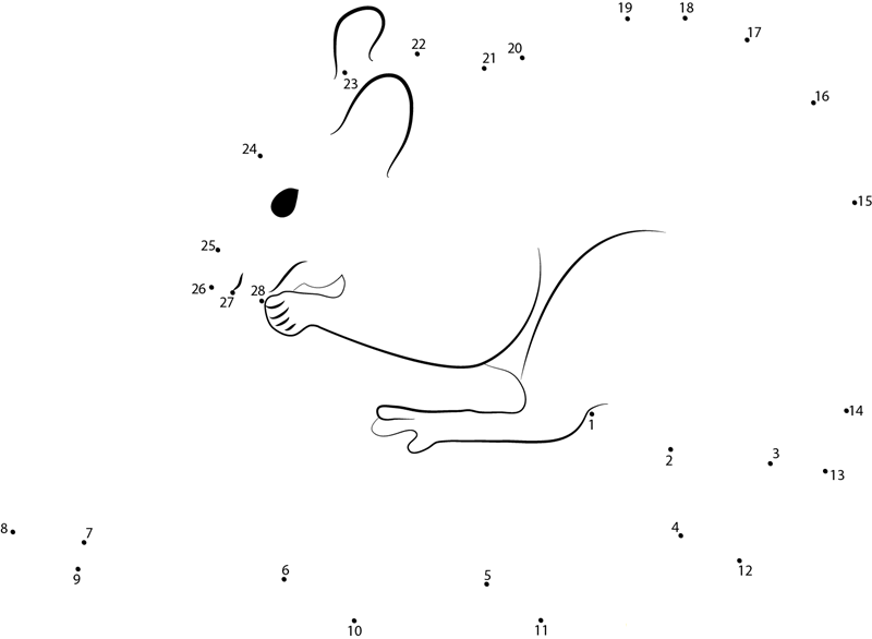 White Mouse Albino Rat printable dot to dot worksheet