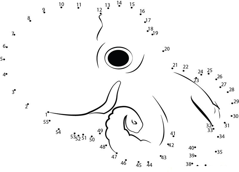 Awesome Octopus dot to dot worksheets