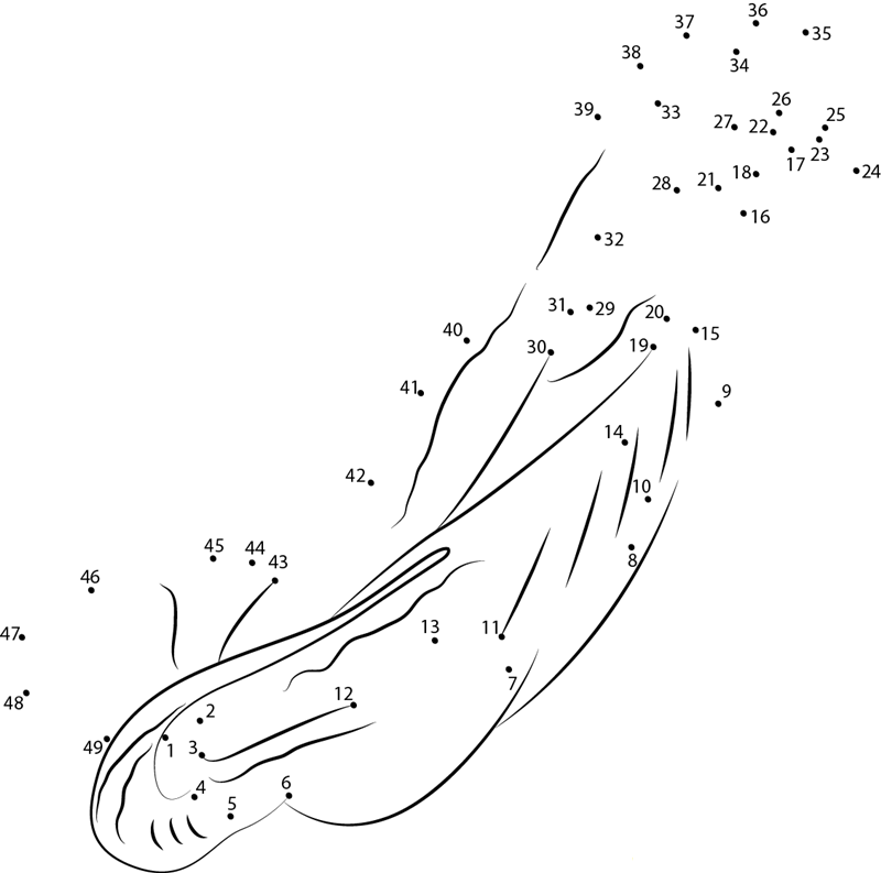 Octopus Large dot to dot worksheets