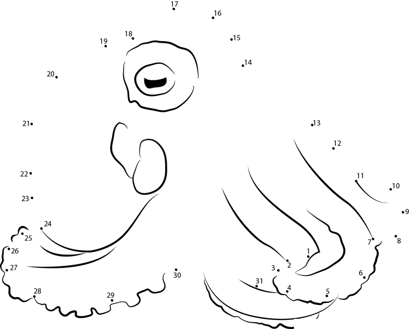 Octopus Marginatus dot to dot worksheets