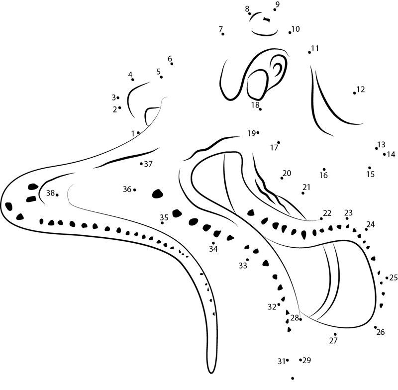 Octopus Red Sea dot to dot worksheets