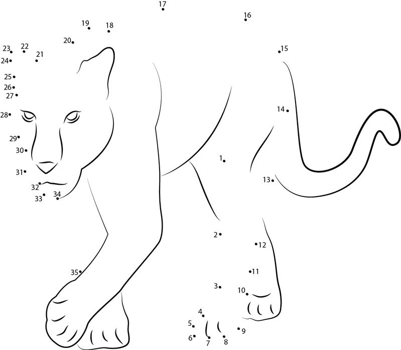 Baby Panther dot to dot worksheets