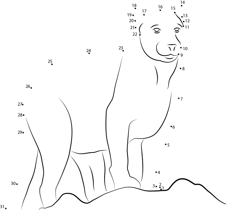 Beautiful Panther dot to dot worksheets