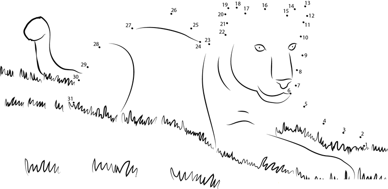 Panther In Grass printable dot to dot worksheet