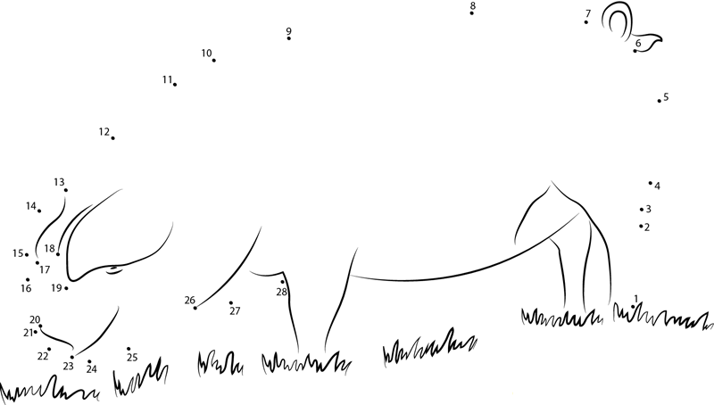 Home Pig dot to dot worksheets