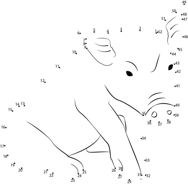 Pig Not Intrested printable dot to dot worksheet