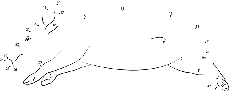 Sleeping Pig Thakudwara printable dot to dot worksheet