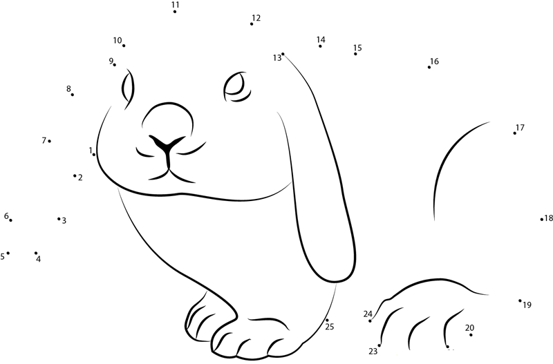 Cute Rabbit dot to dot worksheets