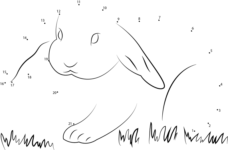 Lovely Rabbit dot to dot worksheets