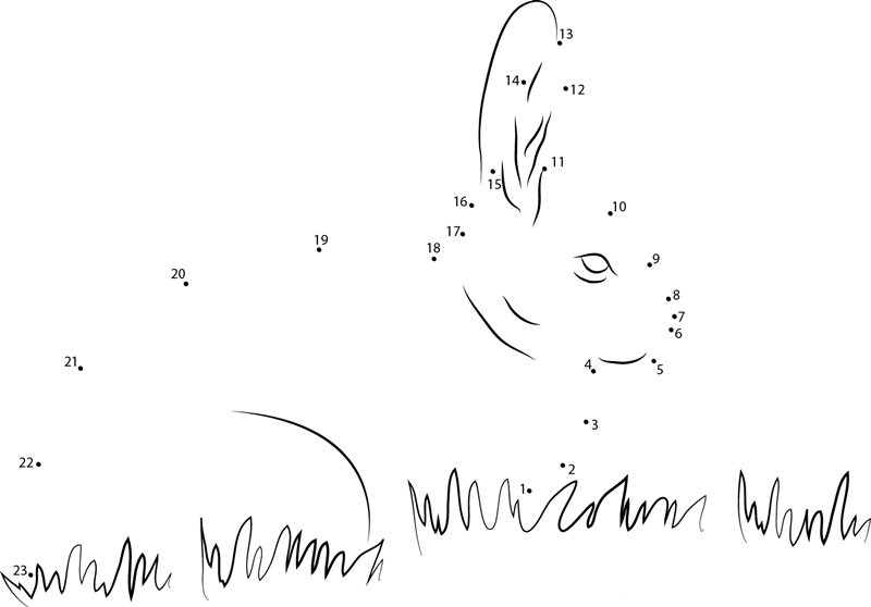 Rabbit In Grass dot to dot worksheets