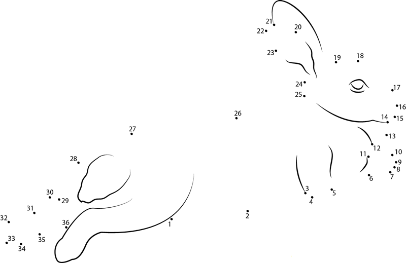 Rabbit Stretched Out dot to dot worksheets