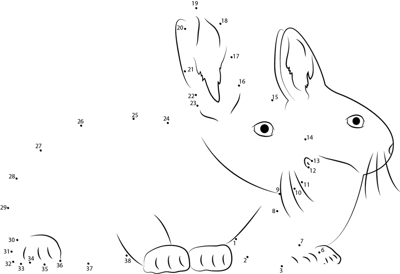 Two Rabbits Together dot to dot worksheets