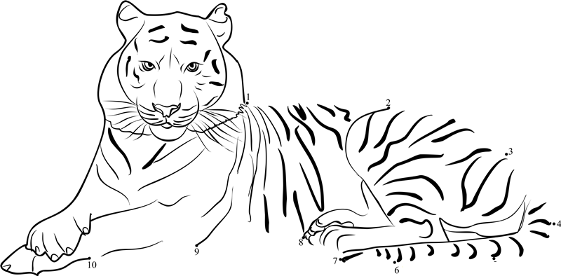 Bengal Tiger National Animal Of Bangladesh printable dot to dot worksheet