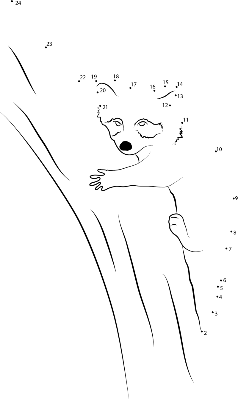 Raccoon Relaxing On Tree printable dot to dot worksheet