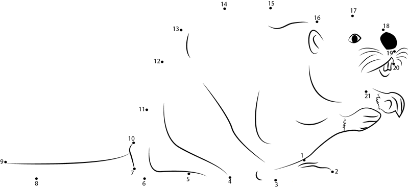 North American Beaver dot to dot worksheets