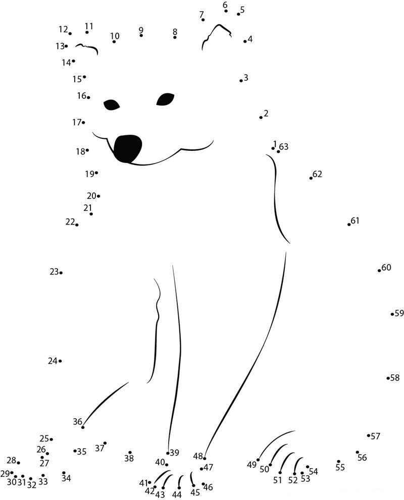 Raccoon Sweet Smile printable dot to dot worksheet