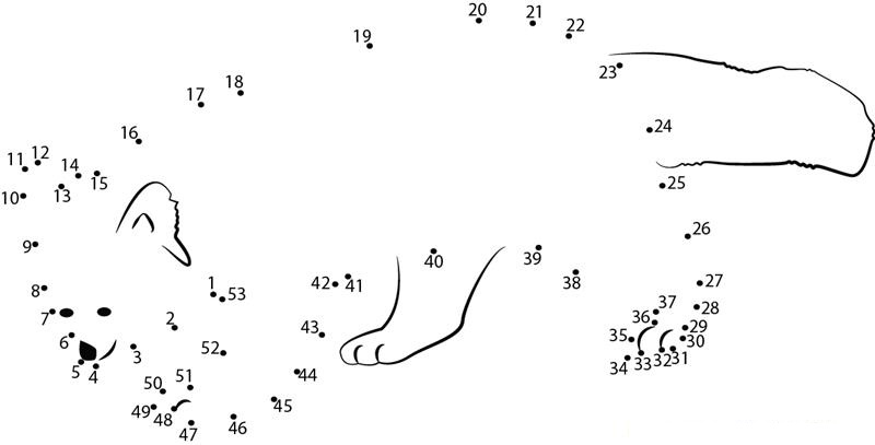 Cute Red Panda dot to dot worksheets