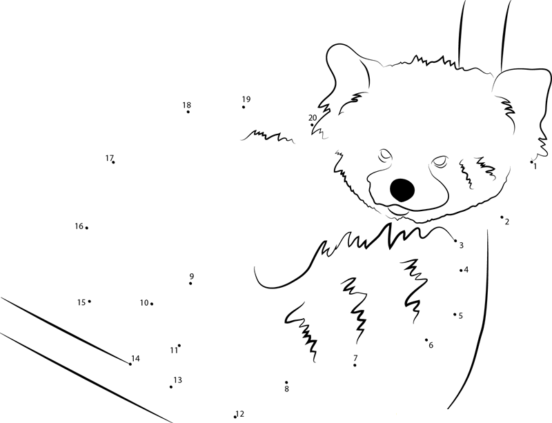 Graceful Red Panda dot to dot worksheets