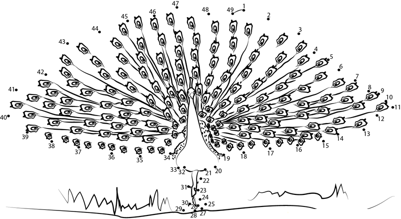 Peacock printable dot to dot worksheet