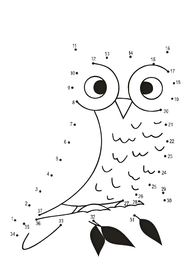 Simple Owl