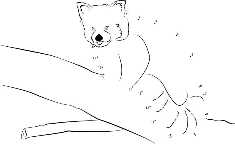 Red Panda By Neomys dot to dot worksheets