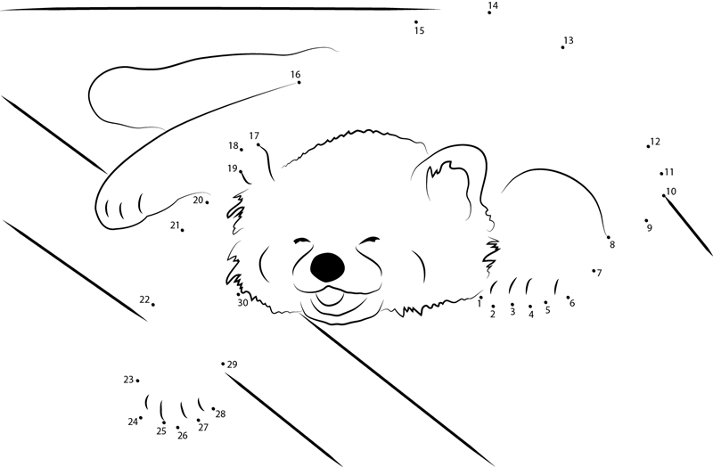 Red Panda Is A Happy Napper dot to dot worksheets