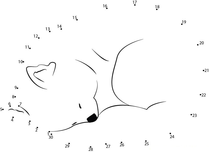 Red Panda Sweet Sleep printable dot to dot worksheet