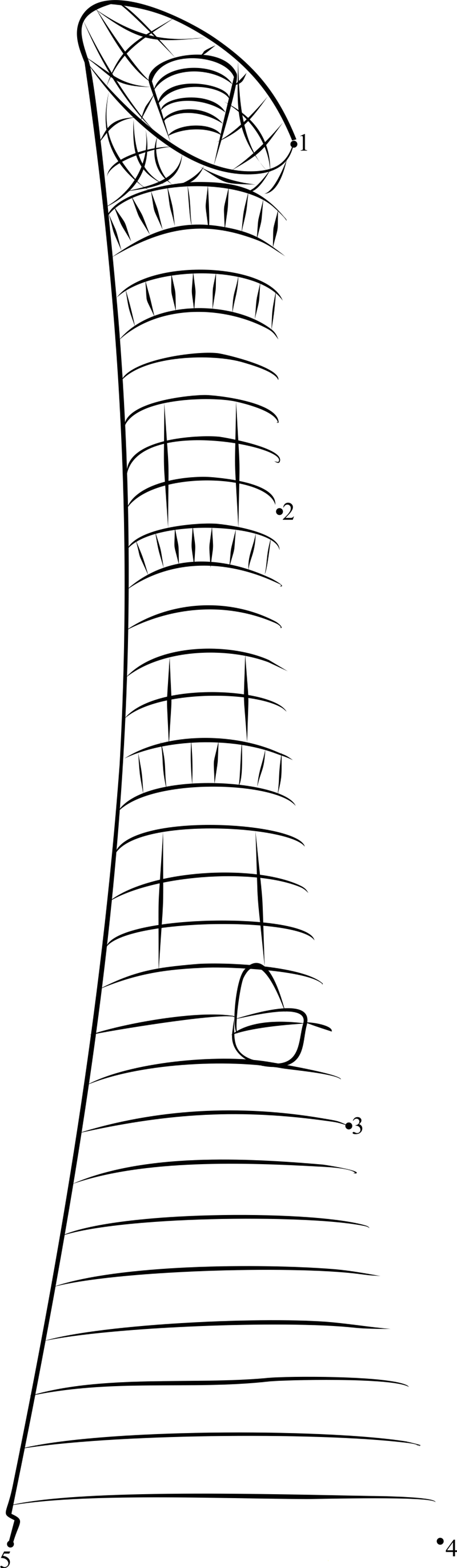 Aspire Tower Qatar printable dot to dot worksheet