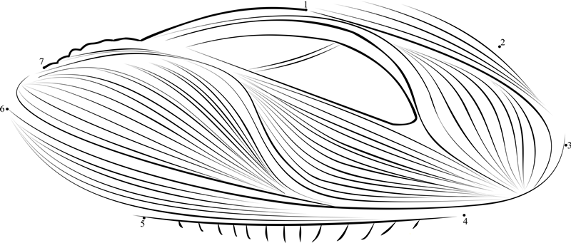 The Lusail Stadium Qatar printable dot to dot worksheet