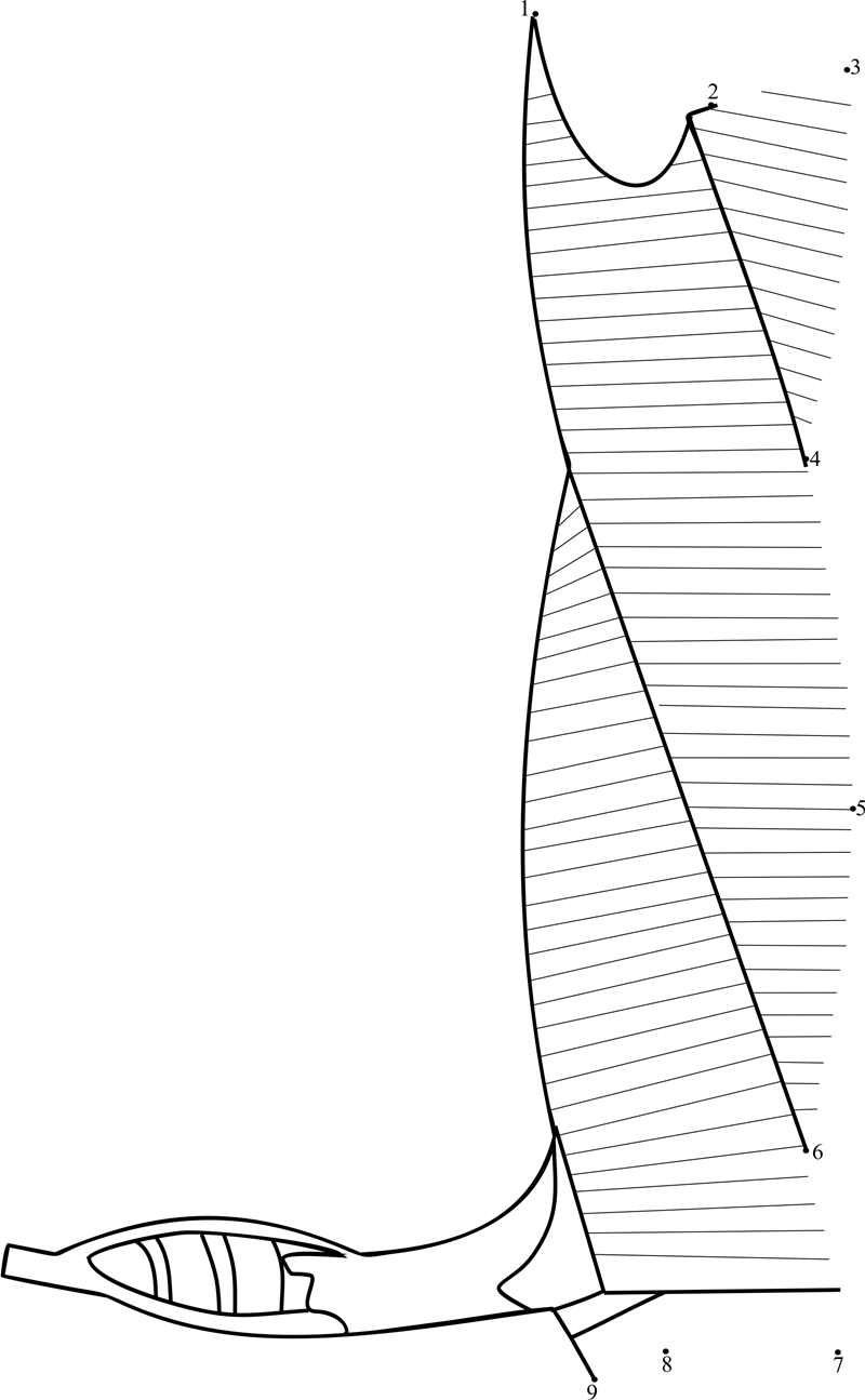 Housing Projects printable dot to dot worksheet