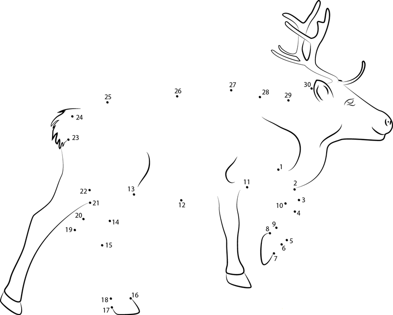 Reindeer Look printable dot to dot worksheet