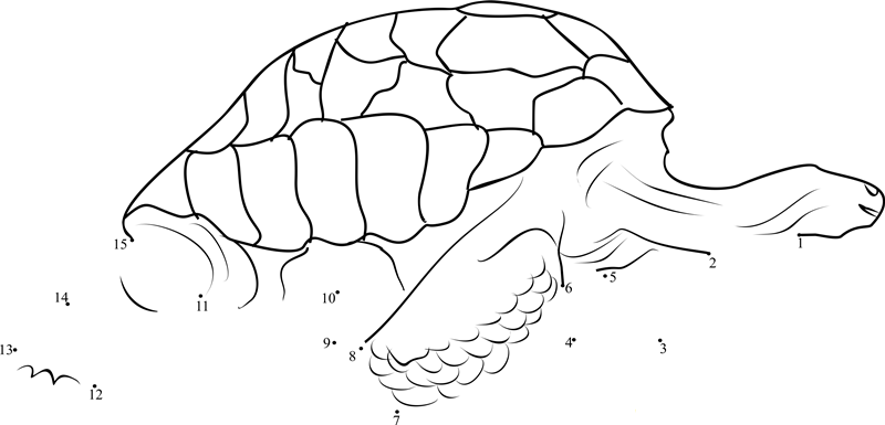 A 180 Year Old Pet Tortoise St Helena printable dot to dot worksheet