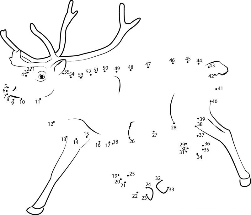 Reindeer Running printable dot to dot worksheet