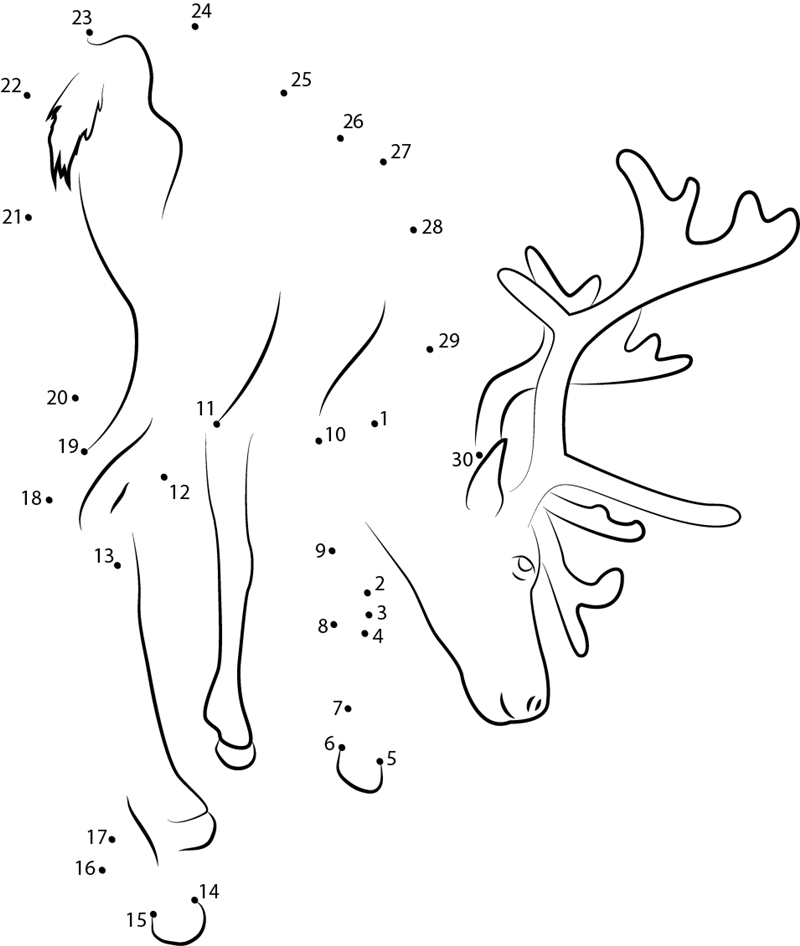 Reindeer See On Ground dot to dot worksheets