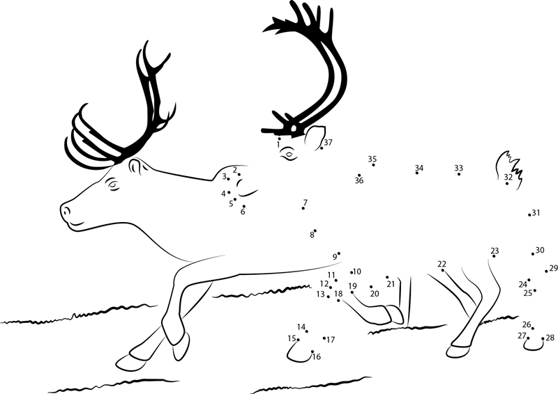 Two Reindeer dot to dot worksheets