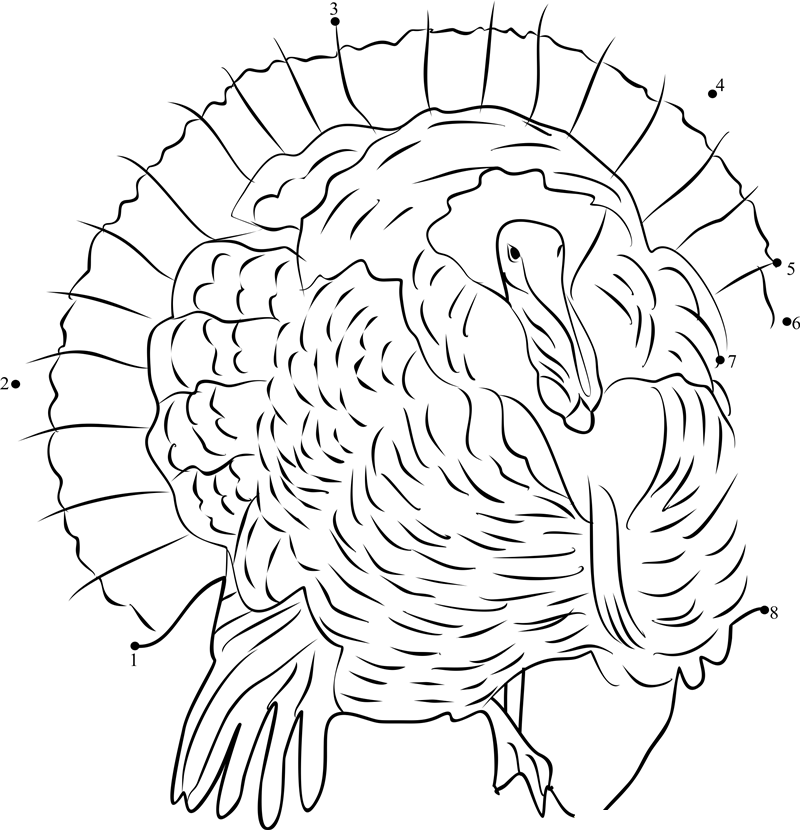 The Eastern Wild Turkey Trade Show dot to dot worksheets