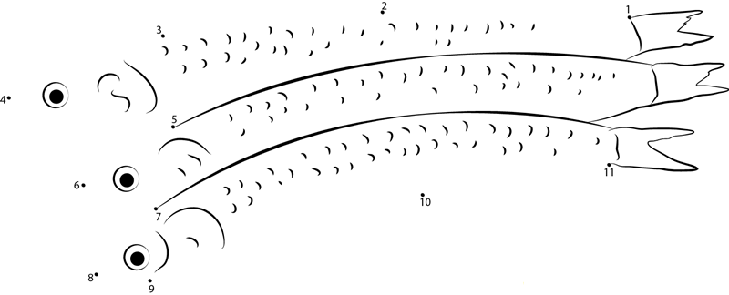 Anchovy Fish Sleeping dot to dot worksheet