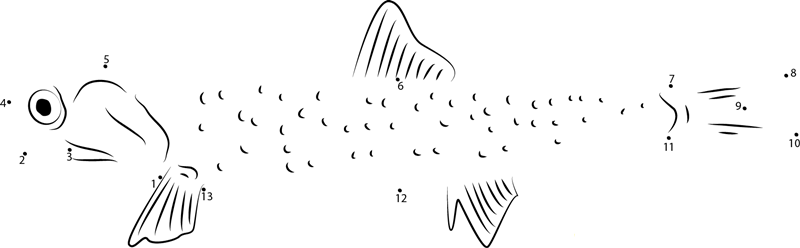 Anchovy Fish Sleeping And She Open Mouth dot to dot worksheet