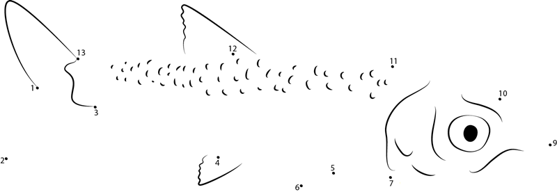 Large Anchovy dot to dot worksheet