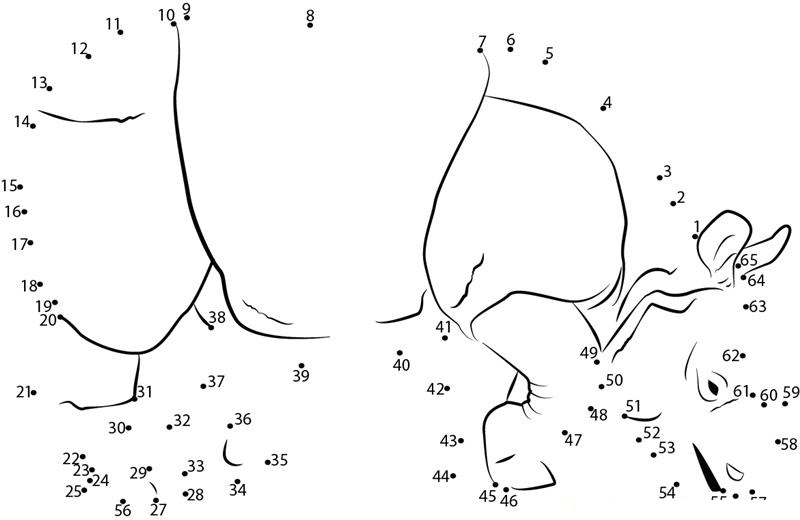 Rhino printable dot to dot worksheet