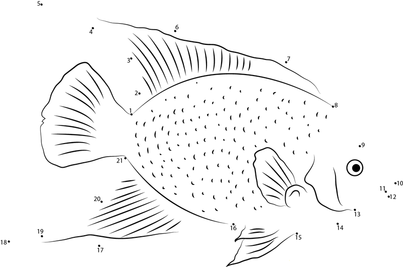 Angelfish printable dot to dot worksheet