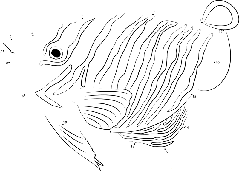 Angelfish Can Change Their Patterns dot to dot worksheets