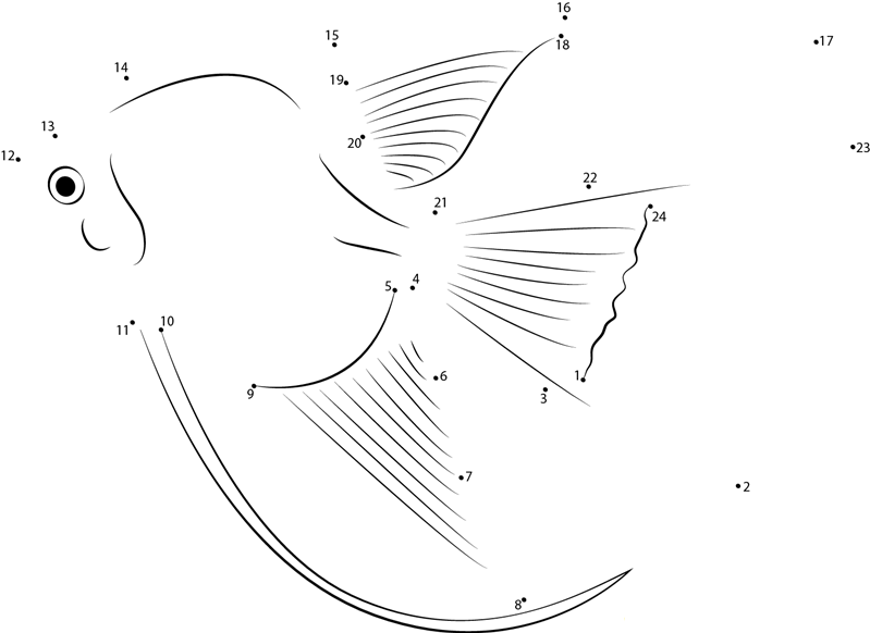 Angelfish White dot to dot worksheets