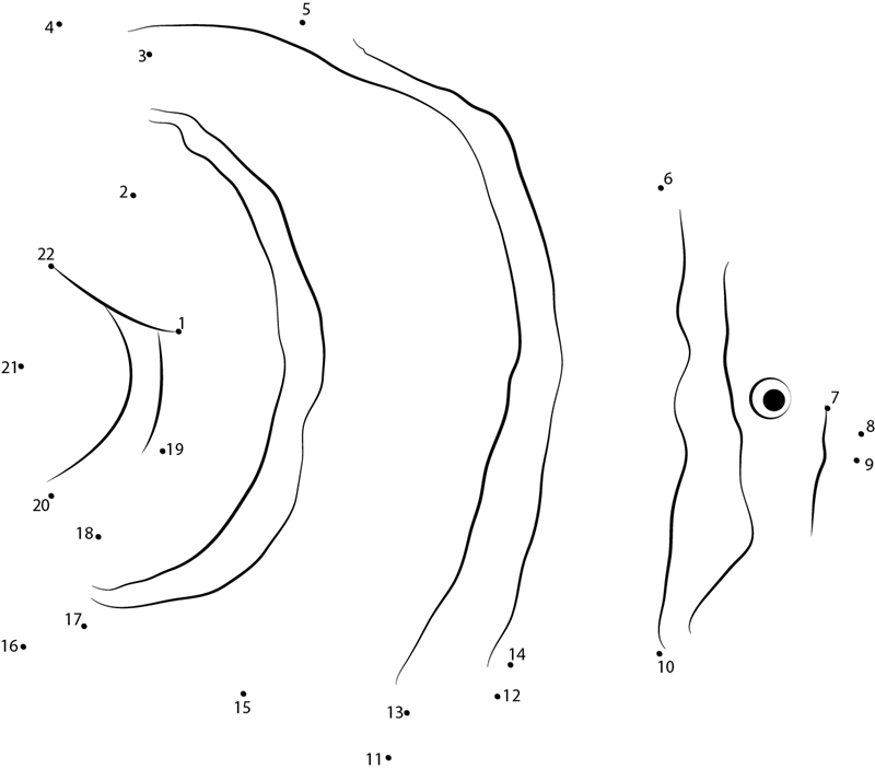 Atlantic Angelfish With Isopod Attached dot to dot worksheets