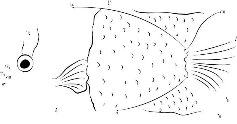 Bicolor Angelfish printable dot to dot worksheet