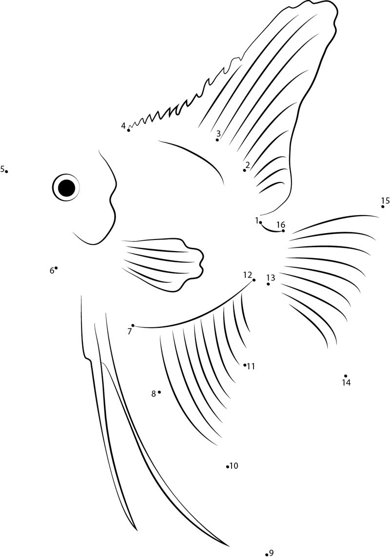 Black Angelfish printable dot to dot worksheet