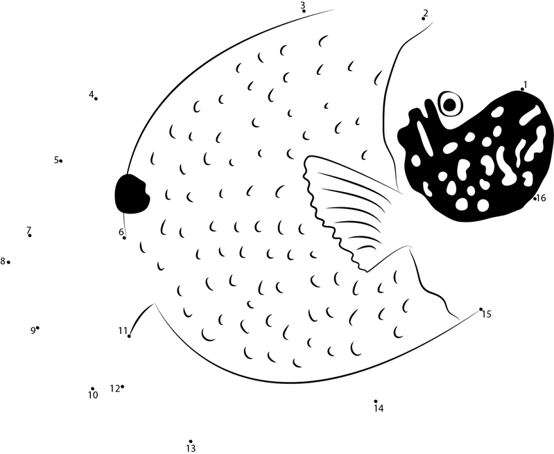 Blue Mask Angelfish printable dot to dot worksheet