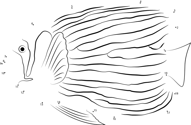 Emperor Angelfish printable dot to dot worksheet