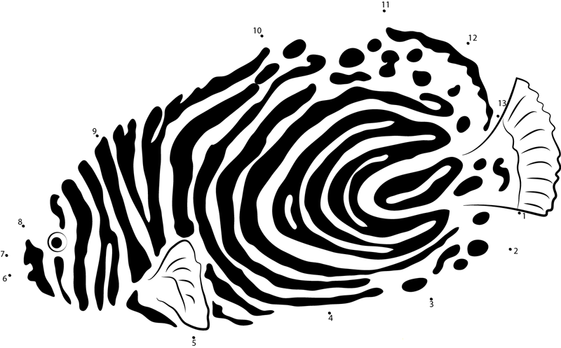 Emperor Angelfish Down See printable dot to dot worksheet