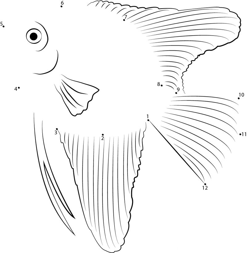 Freshwater Angelfish dot to dot worksheets